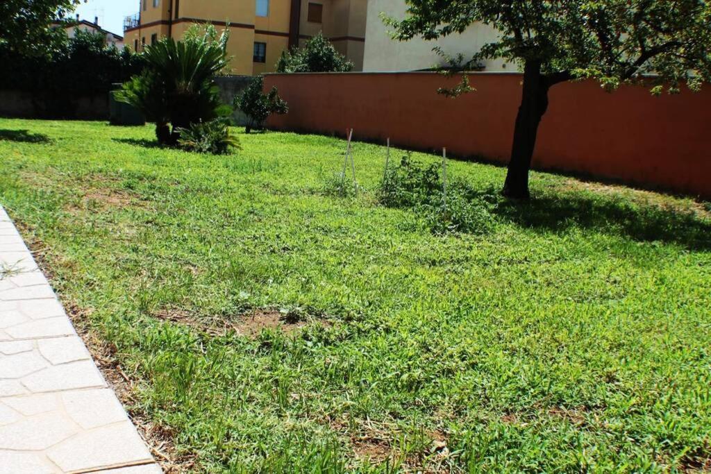 Camera Confortevole Tra Roma E Ostia アチリア エクステリア 写真